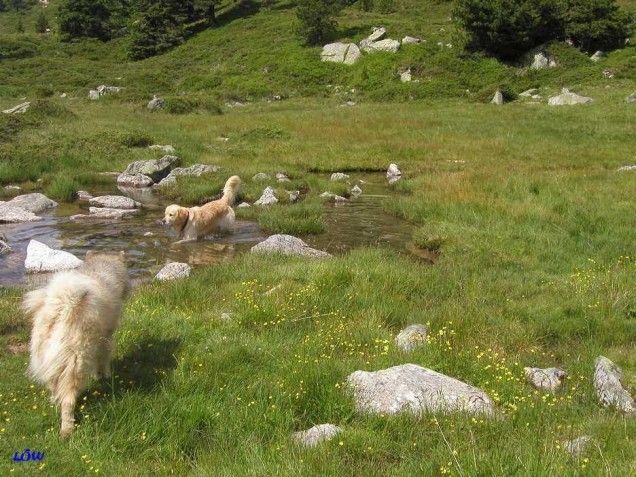 Osttirol Juli 2004: Hier kann man überall baden