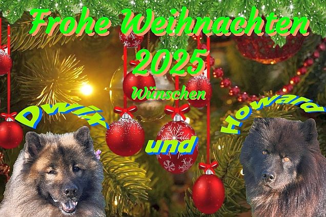 24.12.2025 - Weihnachtskarte 1