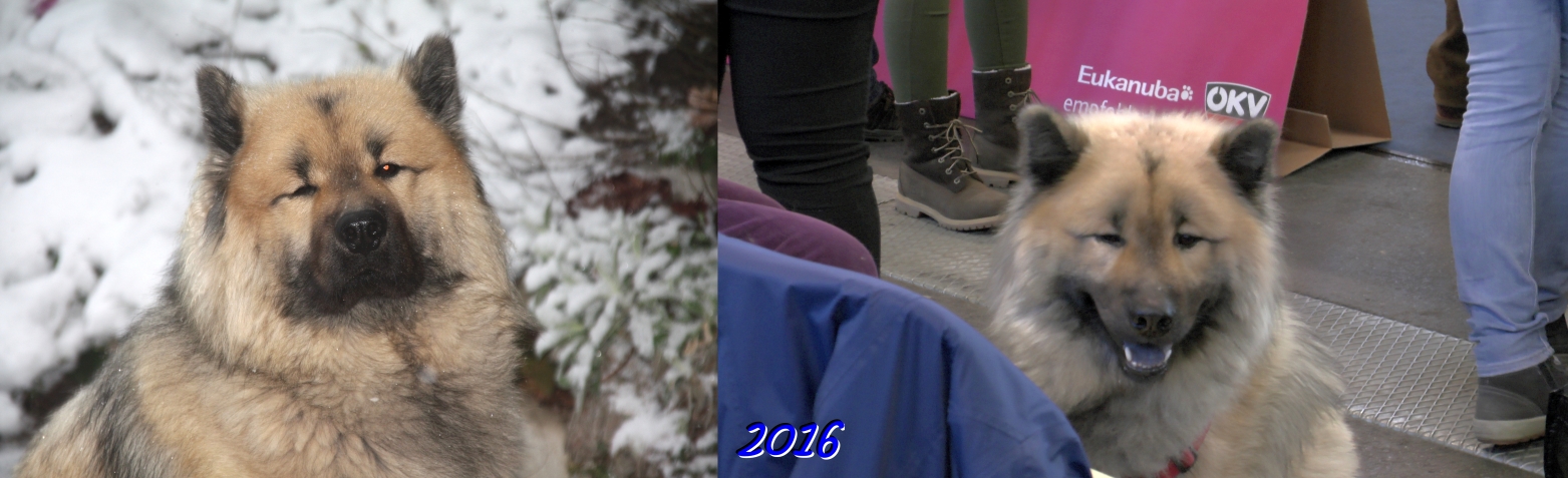 2016  - Das zweite Jahr