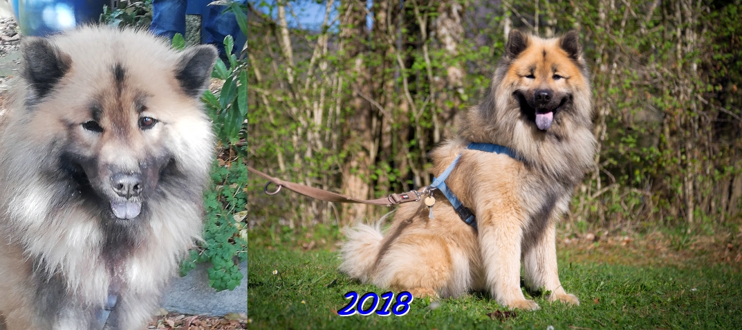 2018  - Das vierte Jahr