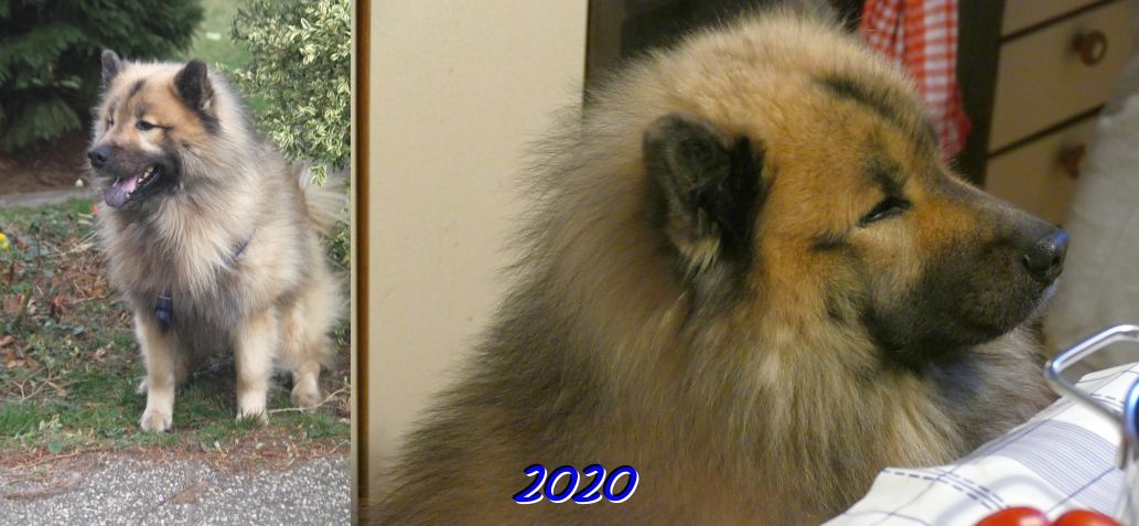 2020  - Das sechste Jahr