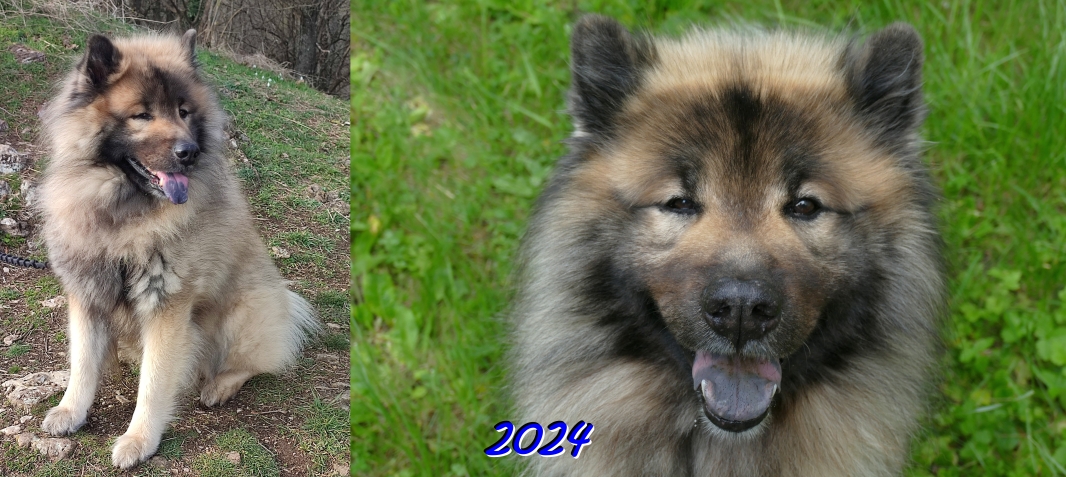 2024  - Das zehnte Jahr