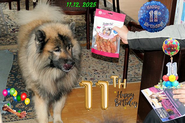 11.12.2025 - Dwix 11. Geburtstag