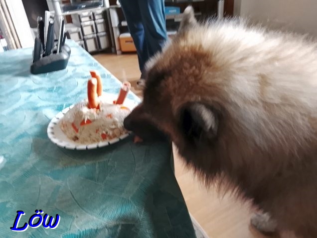 11.12.2025 - Das schmeckt