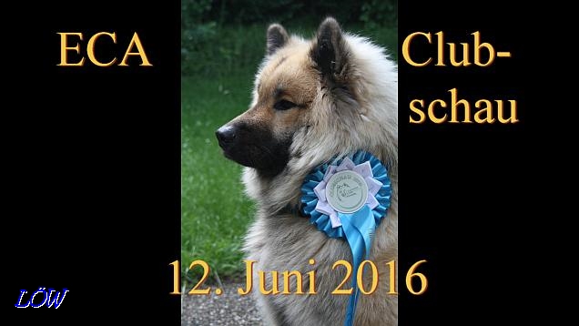ECA Clubschau - 12.6.2016