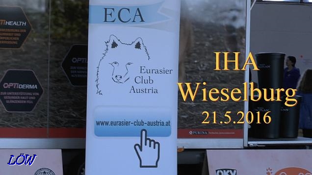 IHA Wieselburg - 21.5.2016