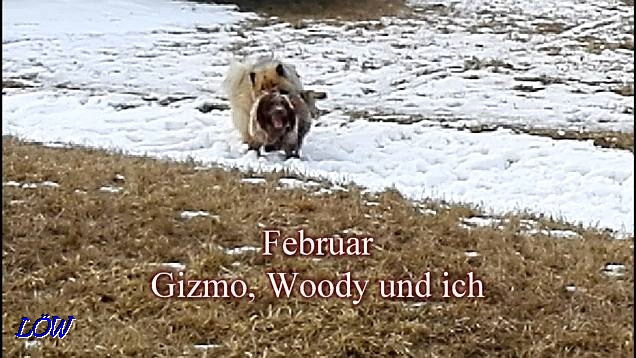 Gizmo und ich - Februar 2017